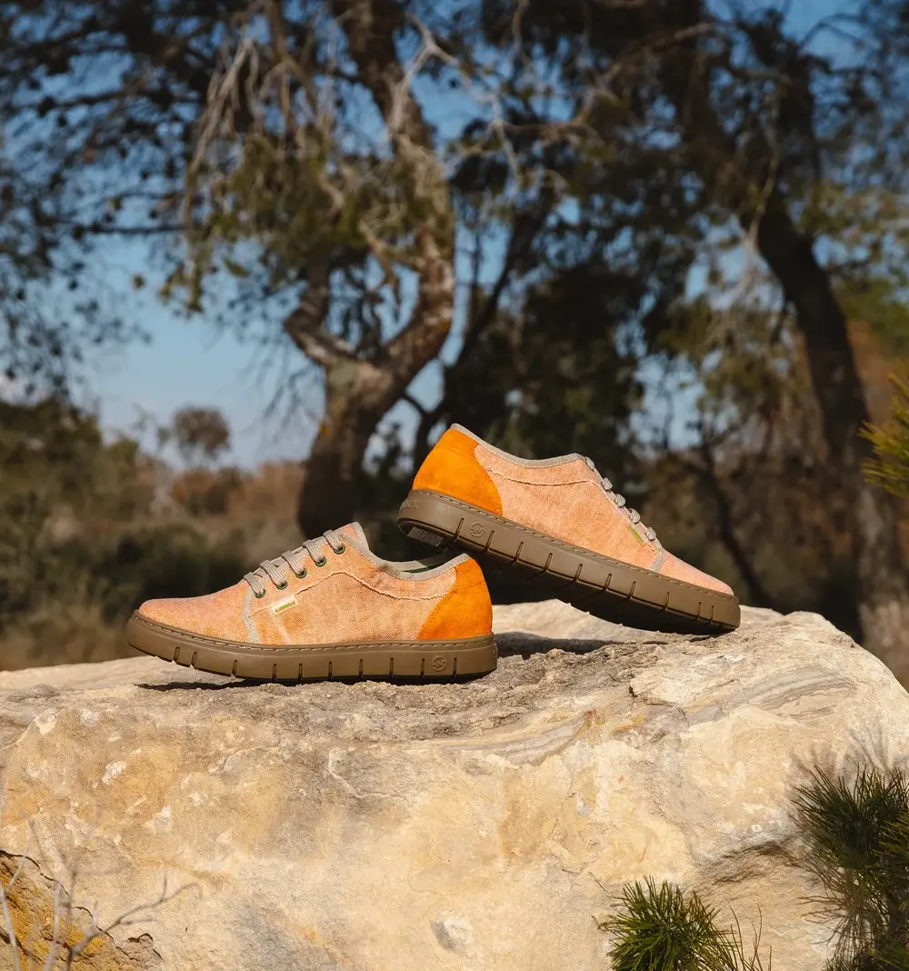 Imagen decorativa novedades